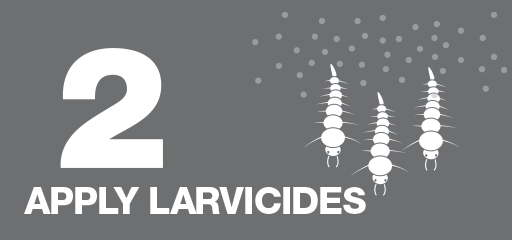 Apply Larvicides Icon